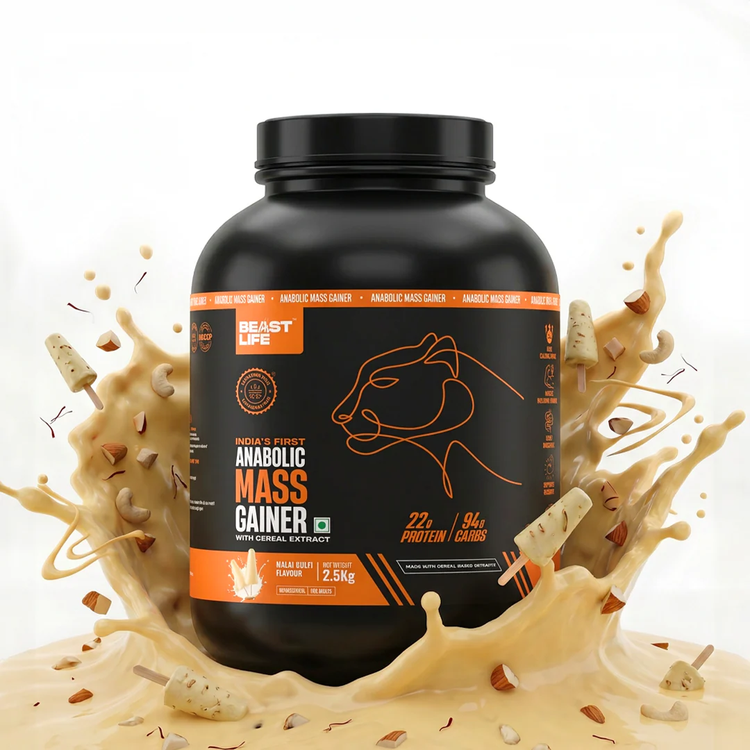 Best Mass Gainer For Beginners